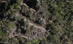 Grand raid