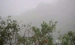 météo, brouillard