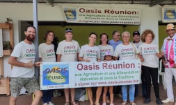 Oasis Réunion