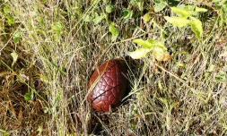 oeuf de pâques