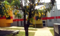 Maisons relais « Axel KICHENIN »