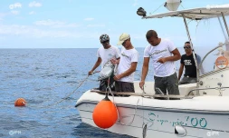 Cap Requins Roches Noires