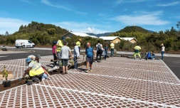 plantation végétaux école du Tampon sur le site du volcan
