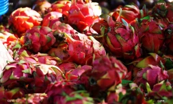 légumes 
