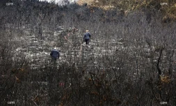 incendie du Maïdo 2020 
