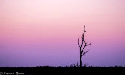 photographe, Frédéric Magnin, amateur, passionné, photo, cliché, image