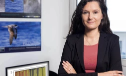 Helena Texeira et son étude sur le pétrel noir de Bourbon 