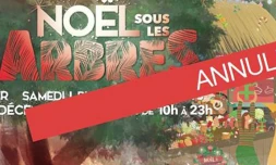 Noël sous les arbres