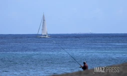 World Arc : 28 voiliers et près de 100 navigateurs venus des quatre coins du monde font escale à La Réunion