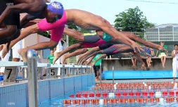 natation 