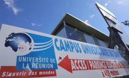université du Tampon 