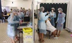 test coronavirus antigénique lycée jean hinglo le port