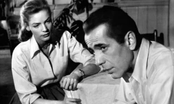 Saint-Denis : l'université fait son cinéma