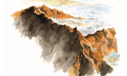 Exposition parc national 