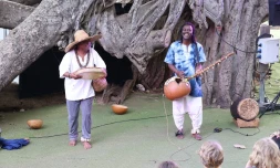 Saint-Pierre : spectacles en plein air aux jardins de la plage
