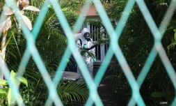 Les pompiers en action pour éradiquer la dengue 