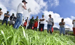 Journée de l'herbe gestion des prairies
