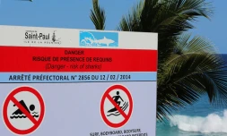 Panneaux  danger requins.