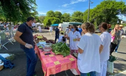 Saint-Pierre : un marché forain dédié au personnel de santé