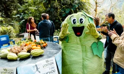 La Région partenaire historique de la Fête du chouchou