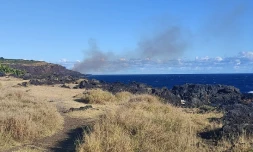 feu de broussaille à saint-leu au souffleur mai 22