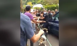 Saint-Joseph : nouvelle mobilisation devant les Jardins de Manapany