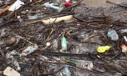 déchets plastiques dans la ravine 