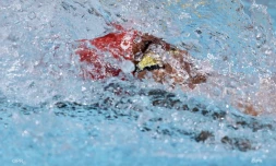meeting de natation de l'Océan Indien