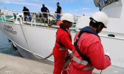 Osiris pêche illicite 