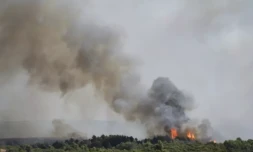 Un incendie dévaste 1.000 hectares dans l'Hérault, dans une France frappée par la sécheresse