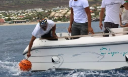 Cap Requins Roches Noires