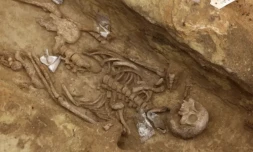 Un squelette de la nécrocrole antique mise au jour à la station Port-Royal à Paris, le 18 avril 2023 ( AFP / Thomas SAMSON )