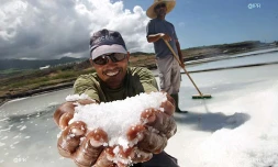 marais salants 