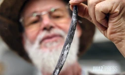 Louis Leichnig  vanille 