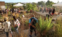 Jardin partagés à La Possession
