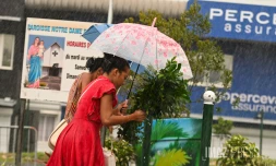 temps gris , nuageux , pluie