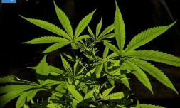 Pour un joint, s\'inscrire ici