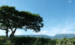 paysages 