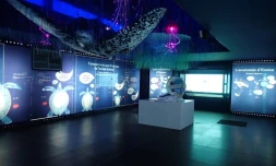 Une nouvelle muséographie pour Kélonia