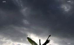 Météo Réunion 
