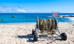 Saint-Paul : baignade interdite jusqu'à nouvel ordre à la plage des Roches Noires