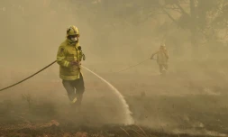 Des pompiers combattent un incendie Ă Hillville, prĂšs de Taree, Ă 350 km au nord de Sydney, le 12 novembre 2019 en Australie