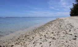 Plage de l'hermitage