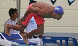 meeting natation 2015