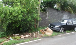 relevé band cochon 25 janvier 2020