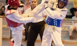 Le Tampon : plus de 200 participants attendus pour un grand rassemblement de taekwondo