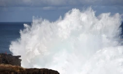 houle en bord de mer avec de grosses vagues