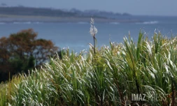 temps nuageux météo maussade 