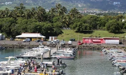 Les pĂŞches cavales n'ont qu'Ă bien se tenir