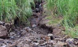 dégats agriculture chemin exploitation montvert  